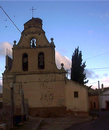 nido de cigüeña en el suelo